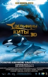 Дельфины и киты 3D