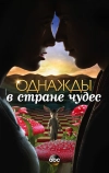 Однажды в стране чудес