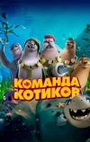 Команда котиков