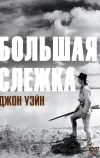 Большая слежка