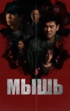 Мышь