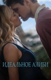 Идеальное алиби