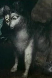 Осенняя встреча (1993)