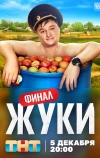 Жуки
