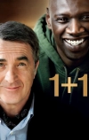 1+1