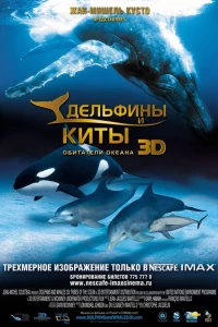 Дельфины и киты 3D (2008)